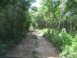  Grundstück zu verkaufen in Cozumel, Quintana Roo, Cozumel