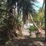 Terrain à vendre à Othon P Blanco, Quintana Roo, Othon P Blanco