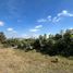  Land for sale in Zapopan, Jalisco, Zapopan, Jalisco
