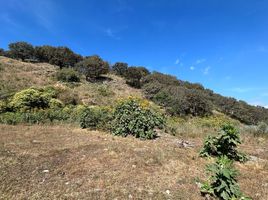  Land for sale in Zapopan, Jalisco, Zapopan, Jalisco