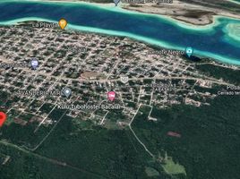  Grundstück zu verkaufen in Othon P Blanco, Quintana Roo, Othon P Blanco