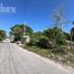  Land for sale in Champoton, Campeche, Champoton