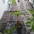 2 Bedroom Apartment for rent in Tampico Tamaulipas, Tampico