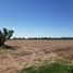  Land for sale in Maipu, Mendoza, Maipu