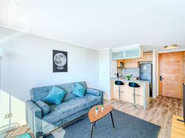 1 chambre Appartement for rent in Valparaiso, Vina Del Mar, Valparaiso, Valparaiso