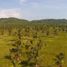  Terrain for sale in Tomatlan, Jalisco, Tomatlan