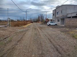  Terreno (Parcela) en venta en Rio Negro, General Roca, Rio Negro