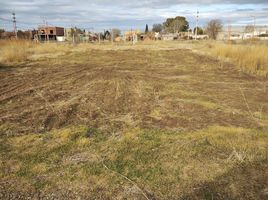  Terreno (Parcela) en venta en Rio Negro, General Roca, Rio Negro