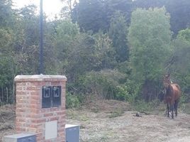 Land for sale in Cushamen Chubut, Cushamen