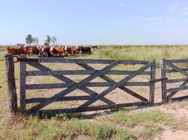  Terreno (Parcela) en venta en San Martin, Santa Fe, San Martin