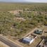  Land for sale in San Javier, Cordoba, San Javier