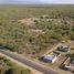  Land for sale in San Javier, Cordoba, San Javier