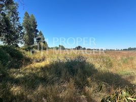  Terreno (Parcela) en venta en Ñuble, Bulnes, Diguillín, Ñuble