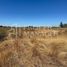  Terreno (Parcela) en venta en Ñuble, Bulnes, Diguillín, Ñuble