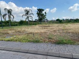  Land for sale in Guayas, Samborondon, Samborondon, Guayas