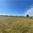  Land for sale in Chile, Puerto Montt, Llanquihue, Los Lagos, Chile