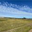  Land for sale in Chile, Puerto Montt, Llanquihue, Los Lagos, Chile