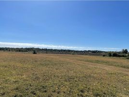  Land for sale in Chile, Puerto Montt, Llanquihue, Los Lagos, Chile