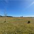  Land for sale in Chile, Puerto Montt, Llanquihue, Los Lagos, Chile