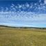  Land for sale in Chile, Puerto Montt, Llanquihue, Los Lagos, Chile