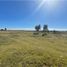  Land for sale in Chile, Puerto Montt, Llanquihue, Los Lagos, Chile