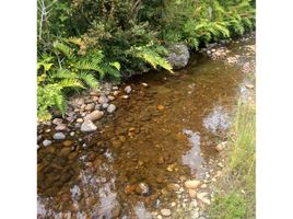  Terreno (Parcela) en venta en Llanquihue, Los Lagos, Puerto Montt, Llanquihue