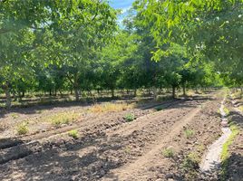  Terreno (Parcela) en venta en Santiago, Paine, Maipo, Santiago