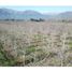  Terreno (Parcela) en venta en Santiago, Paine, Maipo, Santiago