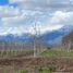  Terreno (Parcela) en venta en Santiago, Paine, Maipo, Santiago