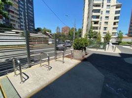 346 SqM Office for rent in San Jode De Maipo, Cordillera, San Jode De Maipo