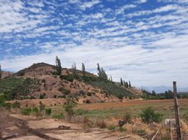  Land for sale in Chile, Rinconada, Los Andes, Valparaiso, Chile