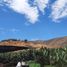  Land for sale in Chile, Rinconada, Los Andes, Valparaiso, Chile