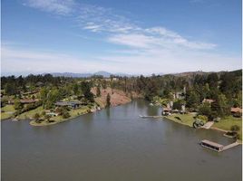 Land for sale in Chile, Las Cabras, Cachapoal, Libertador General Bernardo Ohiggins, Chile