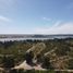  Land for sale in Chile, Las Cabras, Cachapoal, Libertador General Bernardo Ohiggins, Chile