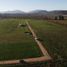  Land for sale in Chile, Santa Cruz, Colchagua, Libertador General Bernardo Ohiggins, Chile