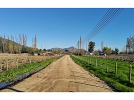  Land for sale in Chile, Santa Cruz, Colchagua, Libertador General Bernardo Ohiggins, Chile