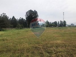  Land for sale in Chile, Mostazal, Cachapoal, Libertador General Bernardo Ohiggins, Chile