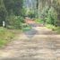  Land for sale in Chile, Mostazal, Cachapoal, Libertador General Bernardo Ohiggins, Chile