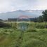  Land for sale in Chile, Mostazal, Cachapoal, Libertador General Bernardo Ohiggins, Chile
