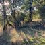  Terreno (Parcela) en venta en Chile, Curico, Curicó, Maule, Chile