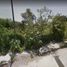  Land for sale in Panuco, Veracruz, Panuco