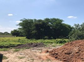  Grundstück zu verkaufen in Panuco, Veracruz, Panuco