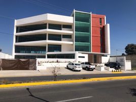 21 m² Office for rent in México, Toluca, México, México