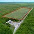  Land for sale in Tekanto, Yucatan, Tekanto
