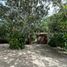 17 Schlafzimmer Haus zu verkaufen in Merida, Yucatan, Merida, Yucatan, Mexiko