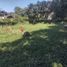 Land for sale in Moniquira, Boyaca, Moniquira