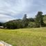  Land for sale in La Ceja, Antioquia, La Ceja