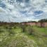  Terreno (Parcela) en venta en Villa Corona, Jalisco, Villa Corona
