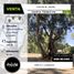  Land for sale in Capital La Rioja, Capital, La Rioja