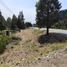  Land for sale in Cushamen, Chubut, Cushamen, Chubut